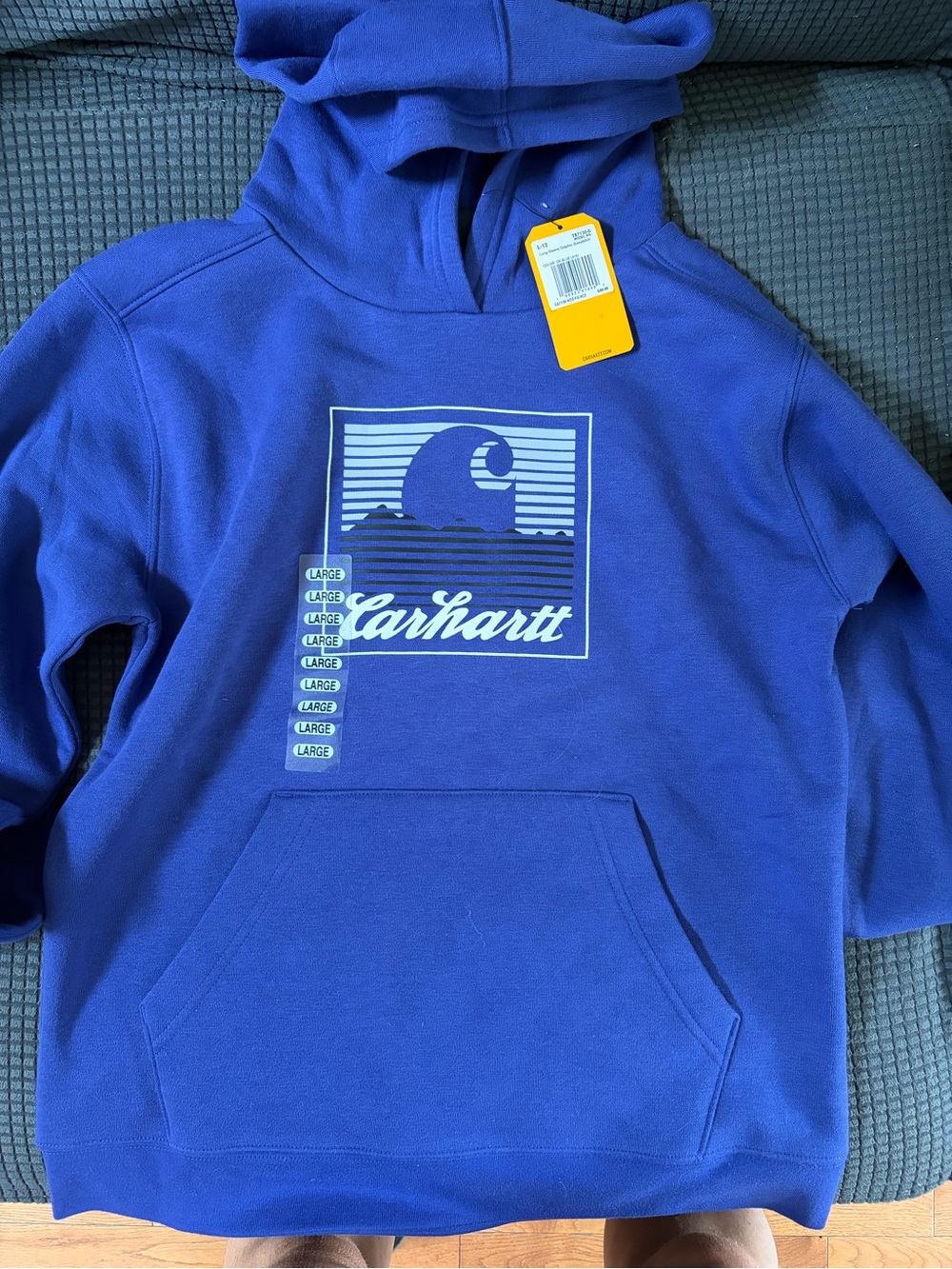 Carhartt girls purple Graphic Pullover Hoodie